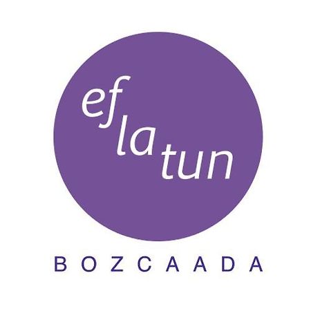 ホテルEflatun Konuk Evi チャナッカレ エクステリア 写真