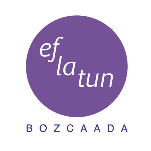 ホテルEflatun Konuk Evi チャナッカレ エクステリア 写真